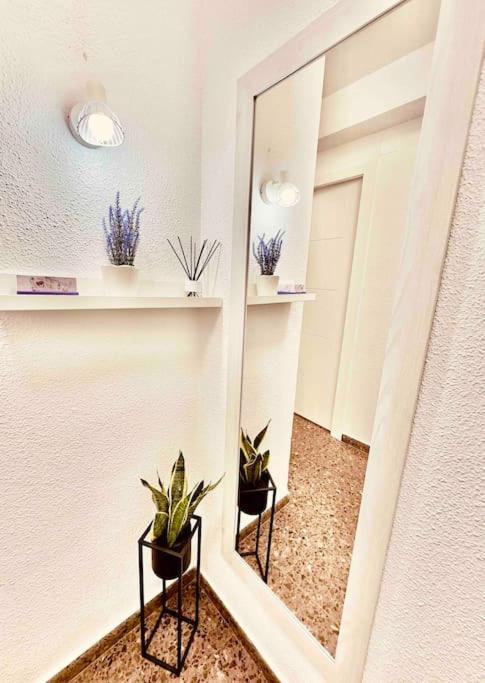 Citadella Apartment Sagunto Eksteriør bilde