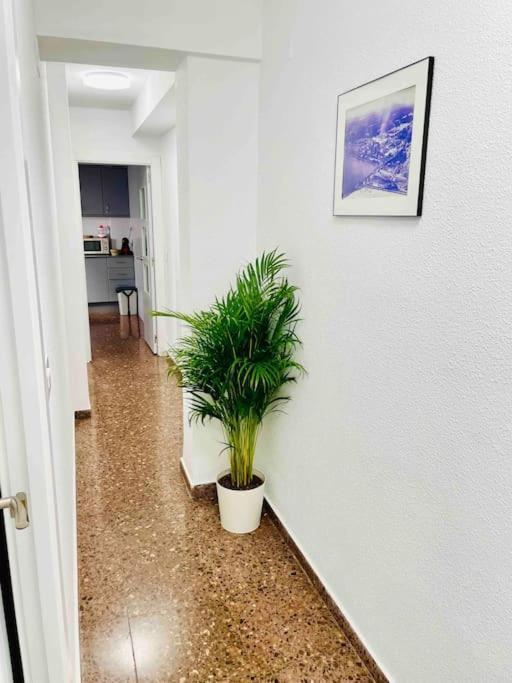 Citadella Apartment Sagunto Eksteriør bilde